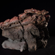 El cráneo de Confractosuchus sauroktonos